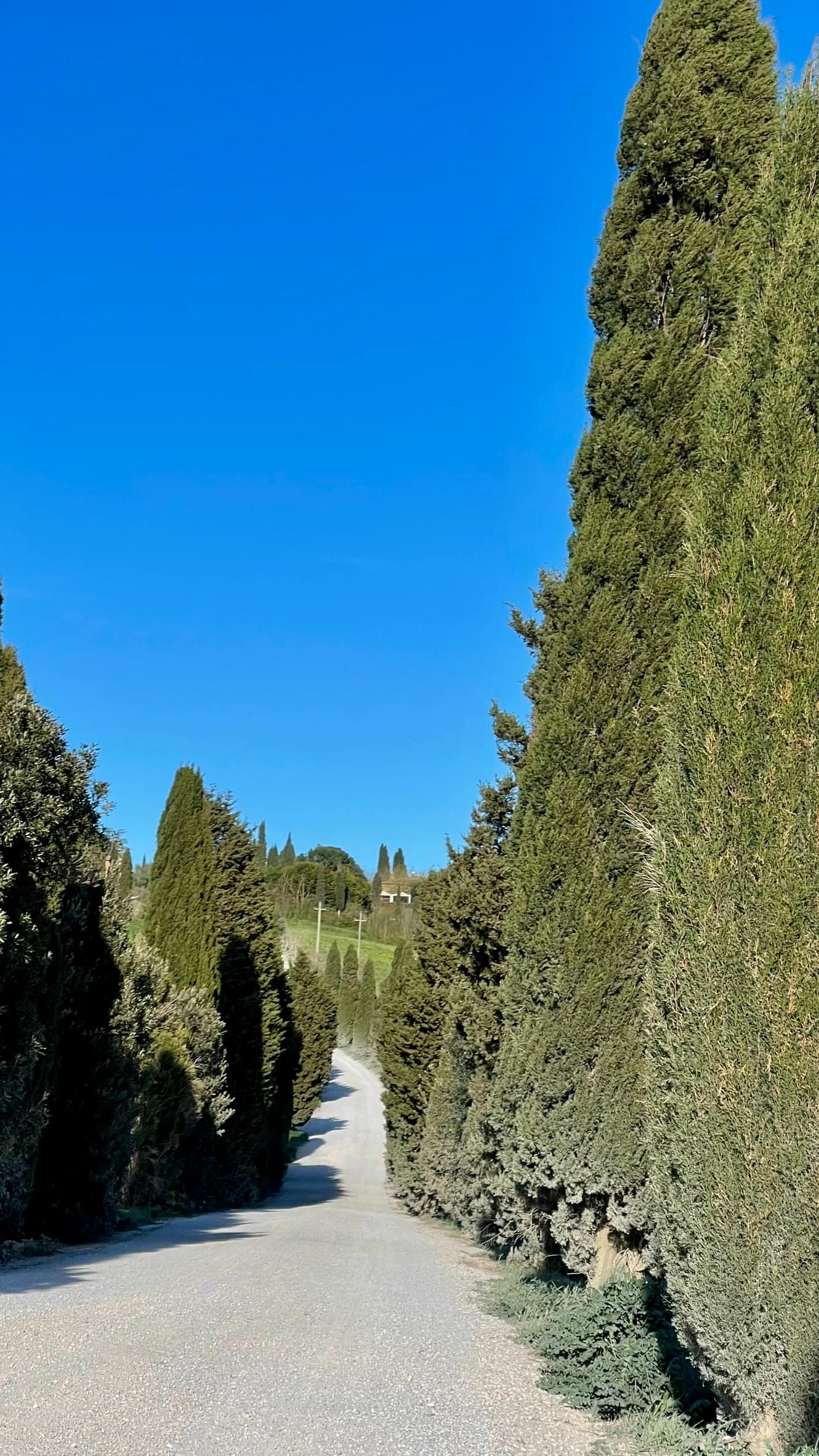 Crete senesi Asciano Crete senesi Asciano