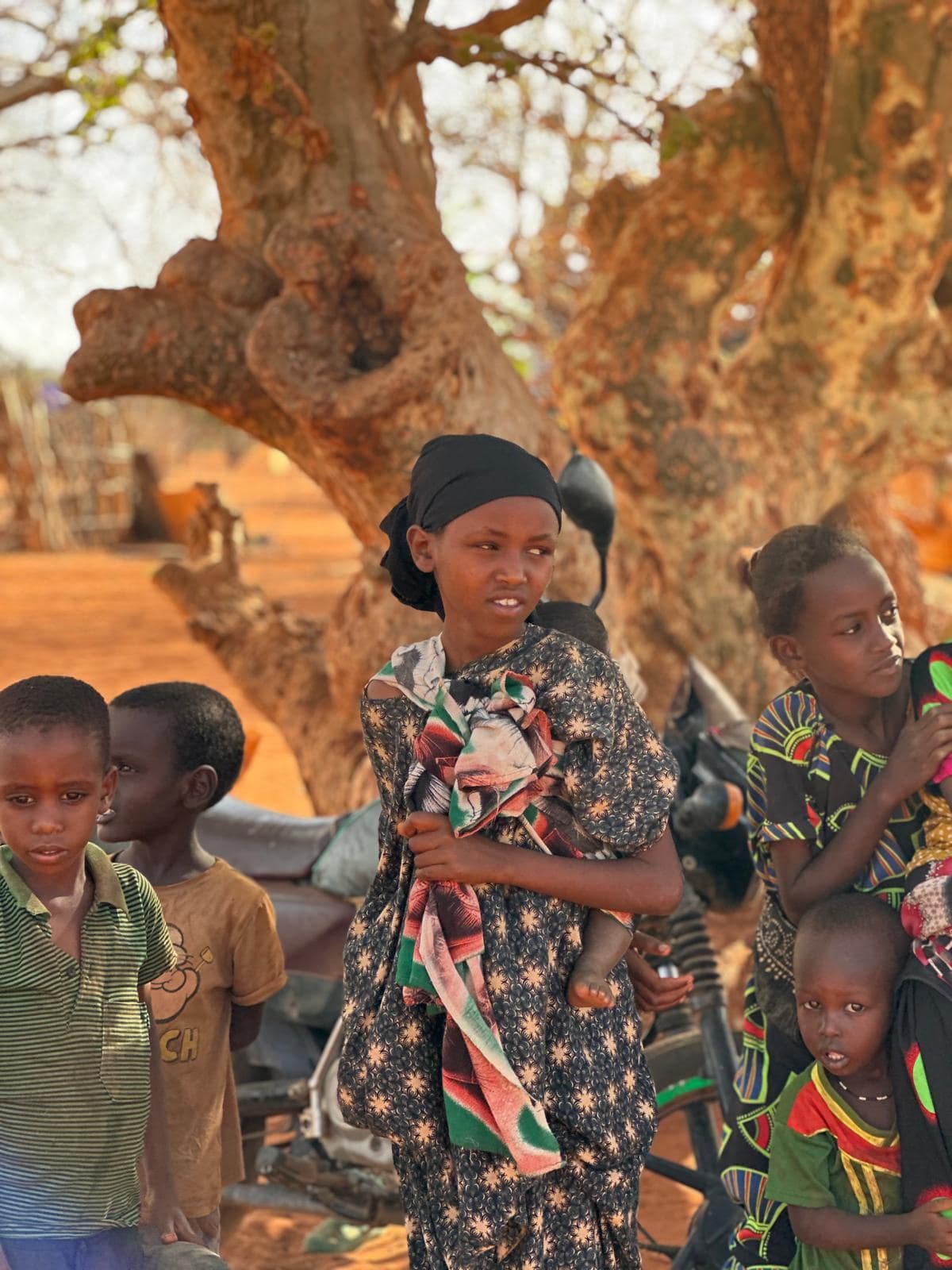 c62b9971-72bf-4b7d-9706-75c610f7aac3