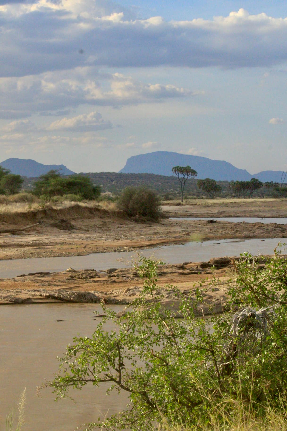 Samburu National Reserve