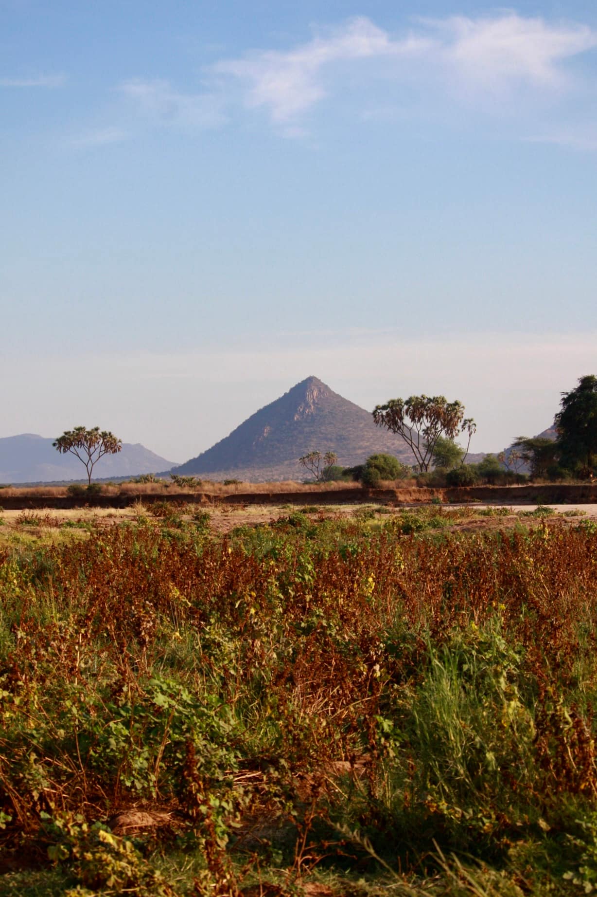 Samburu National Reserve