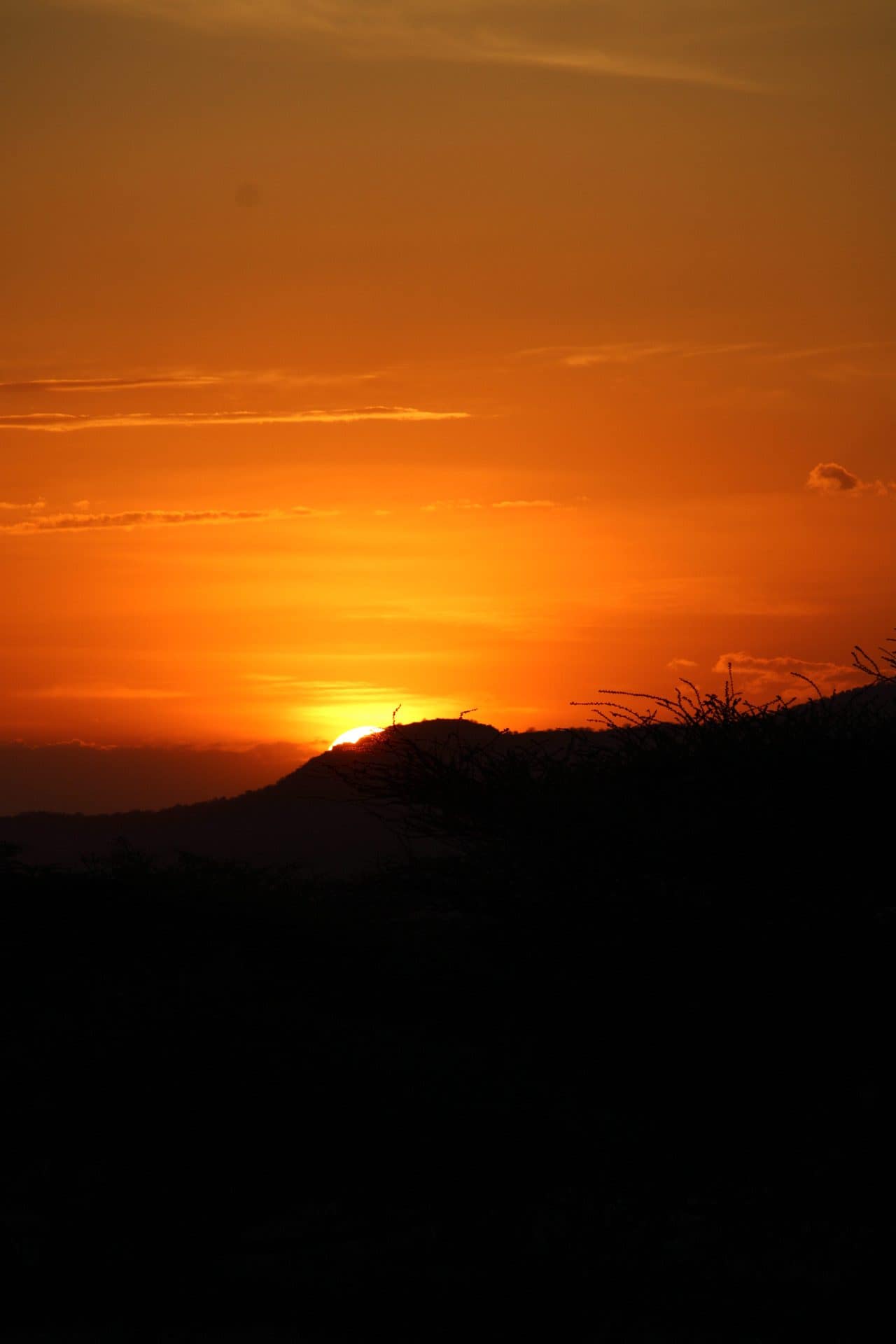 IMG_7322 Samburu National Reserve