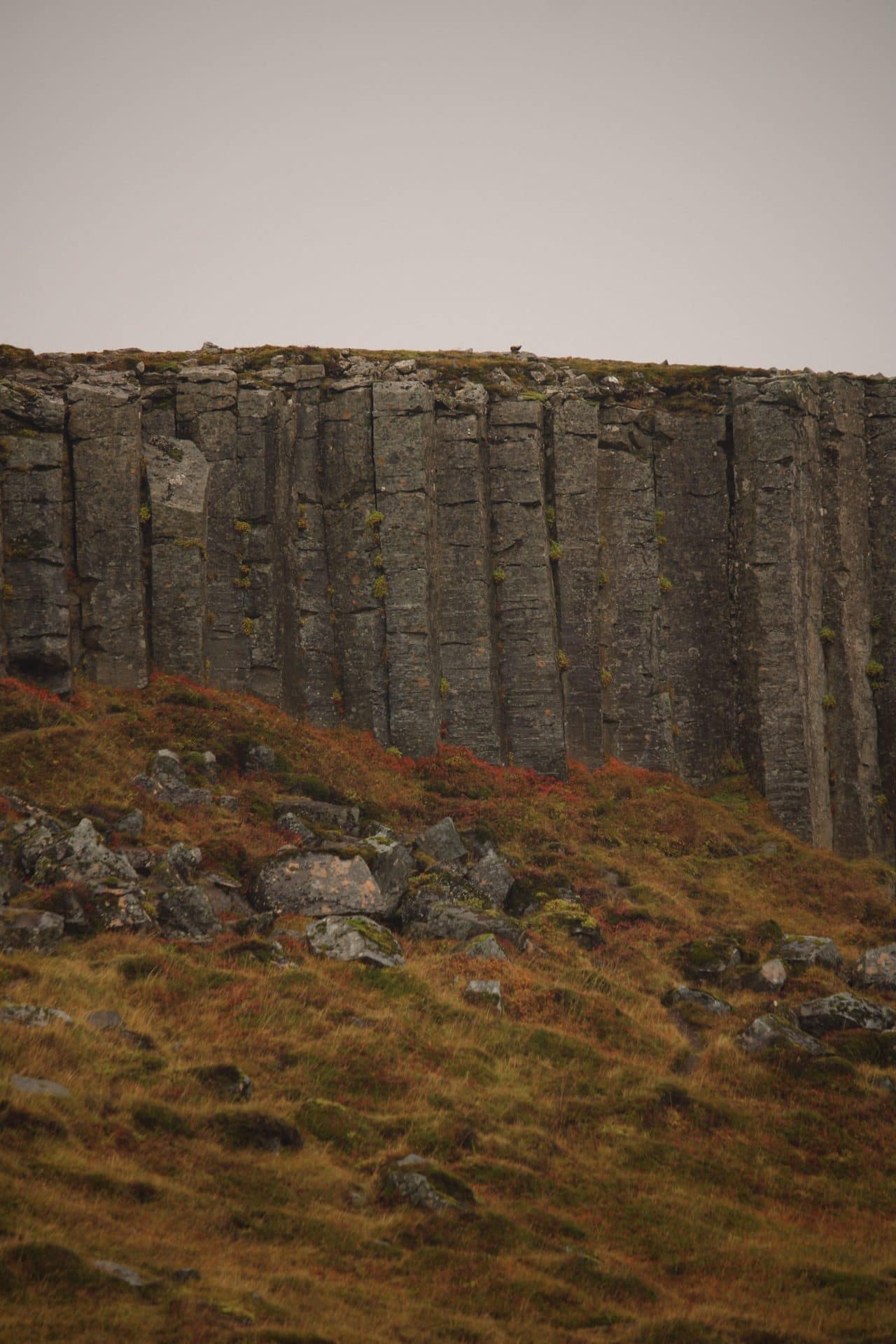 Gerðuberg Basalt Cliffs Gerðuberg Basalt Cliffs