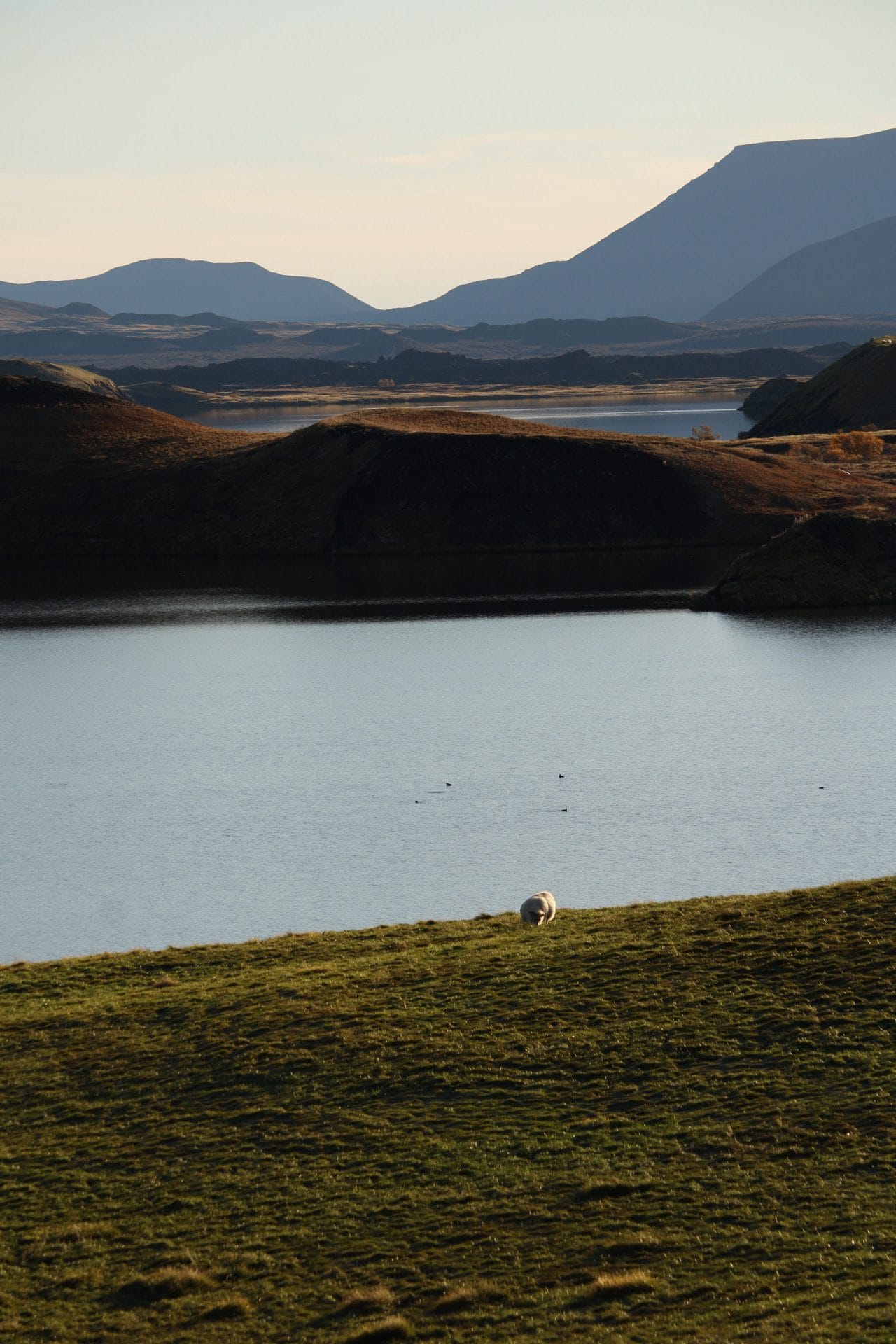 Lake Mývatn area Lake Mývatn area