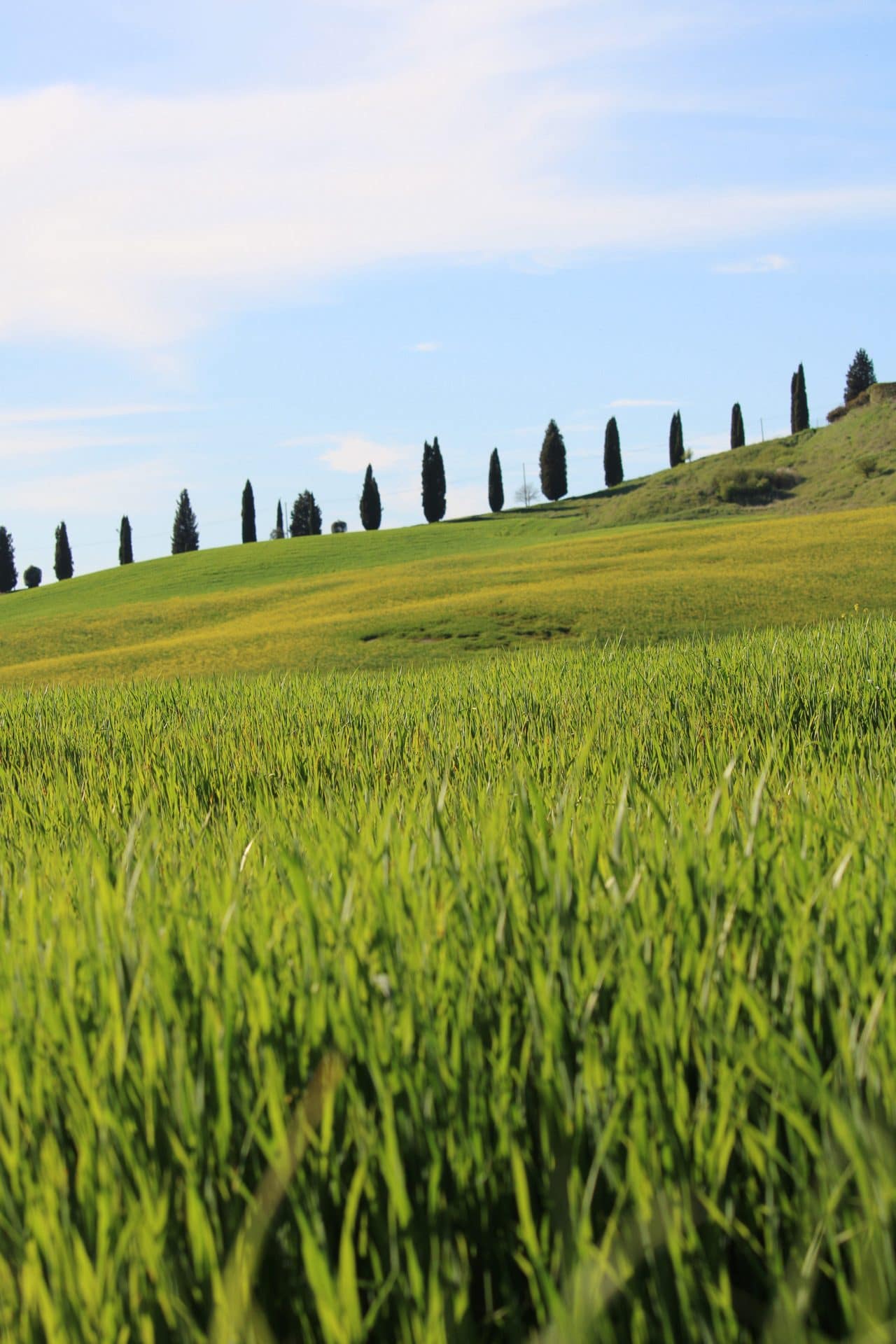Crete senesi Asciano Crete senesi Asciano