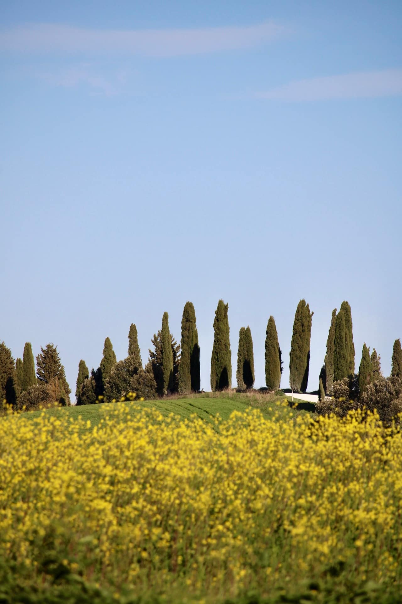 Crete senesi Asciano Crete senesi Asciano