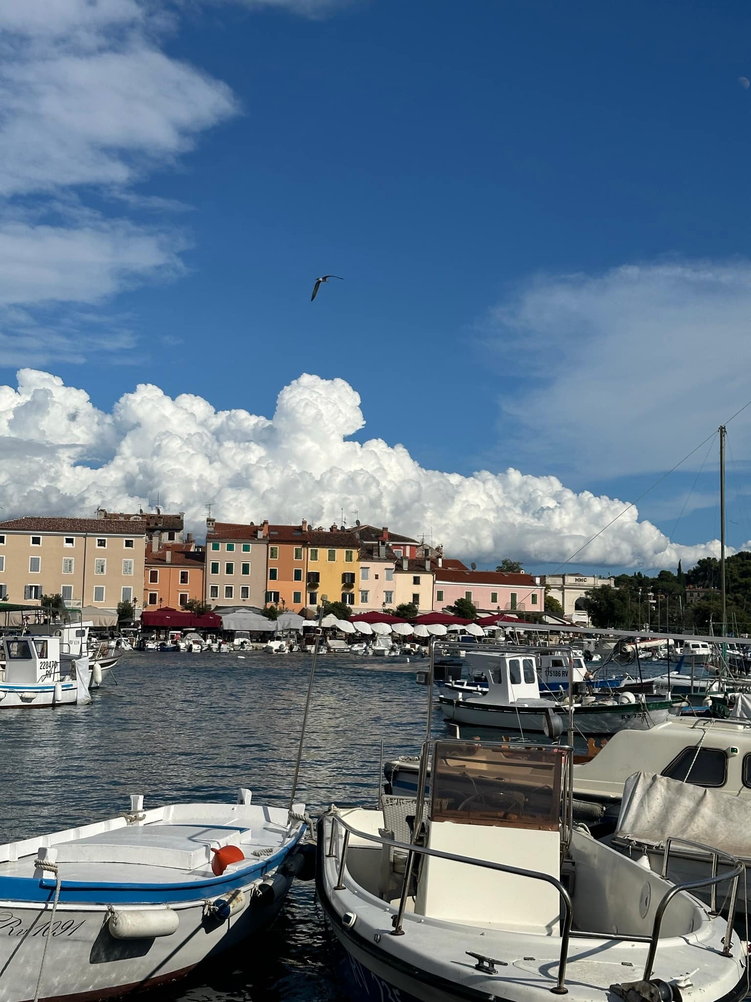 Rovinj