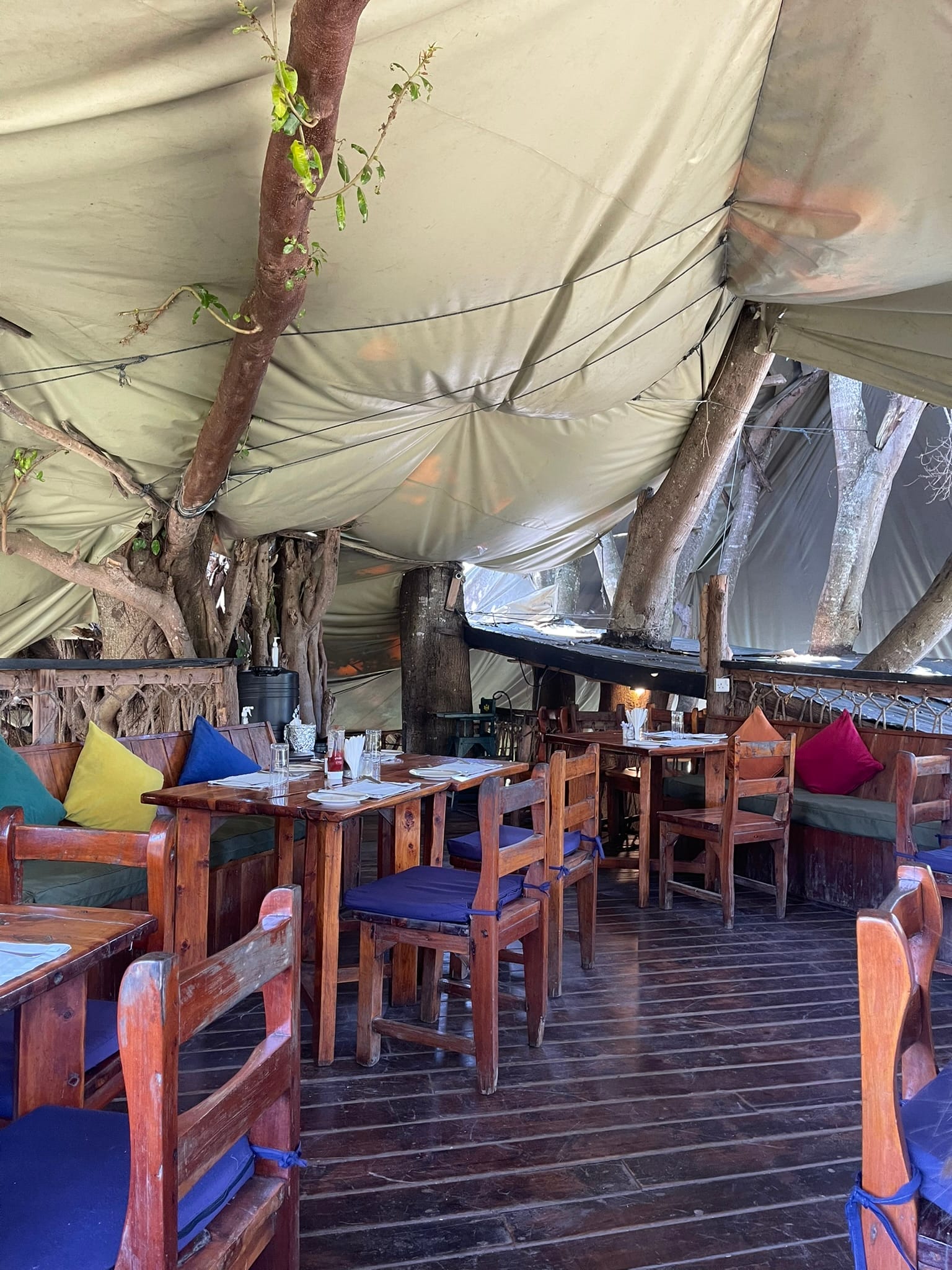 Trout Tree Restaurant