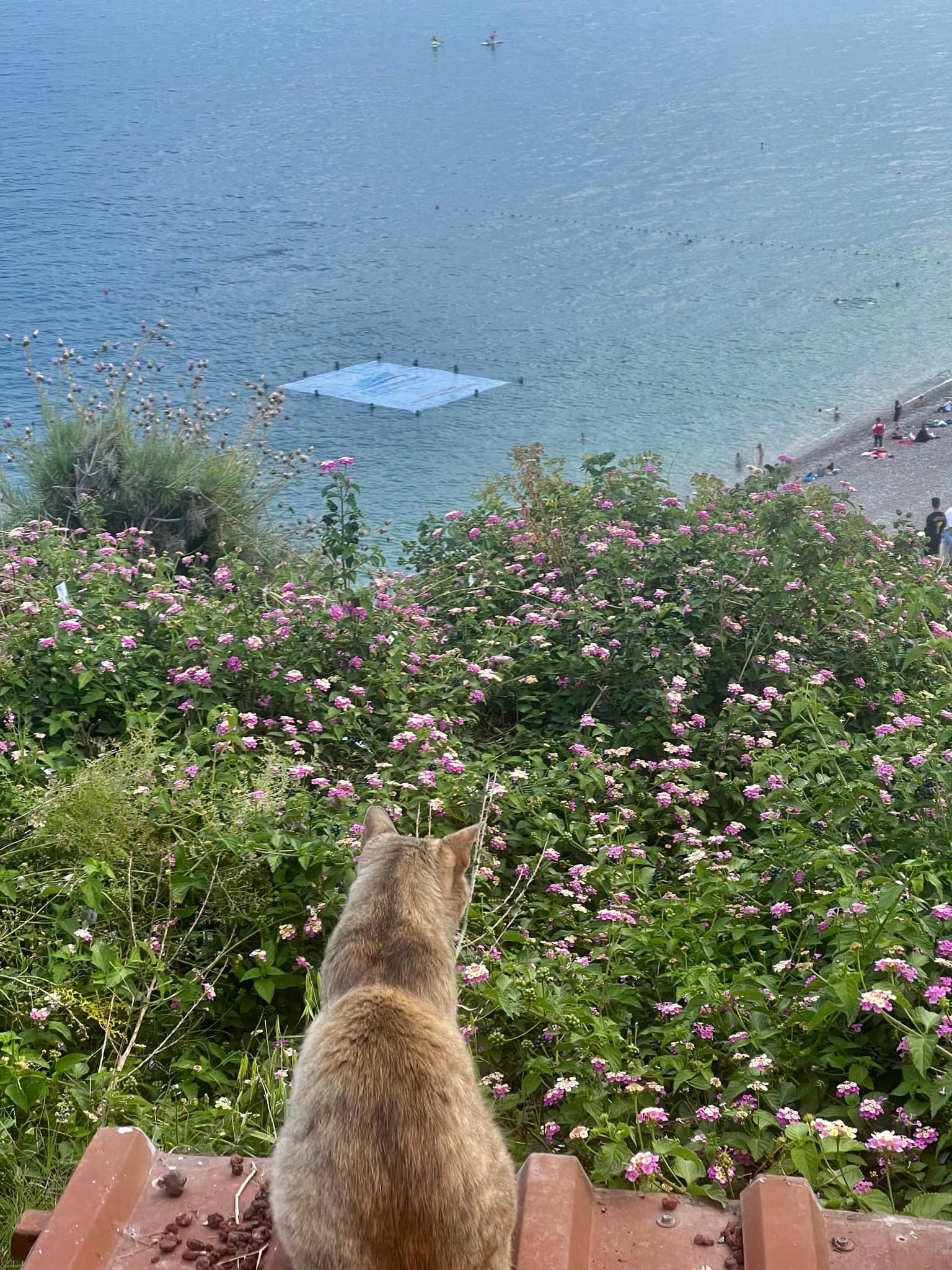 Antalya Konyaaltı Plajı Antalya Konyaaltı Plajı