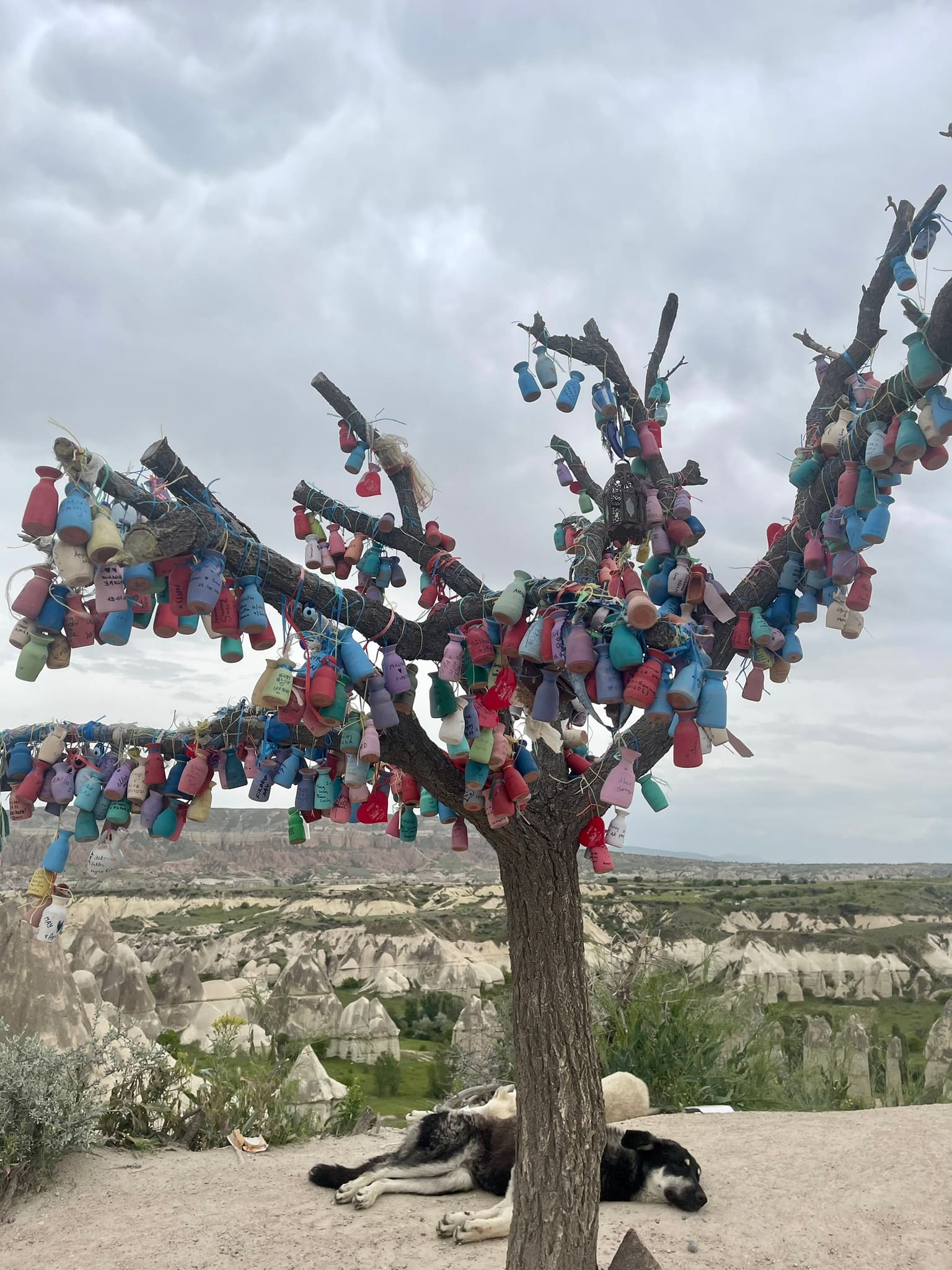 Love Valley Love Valley