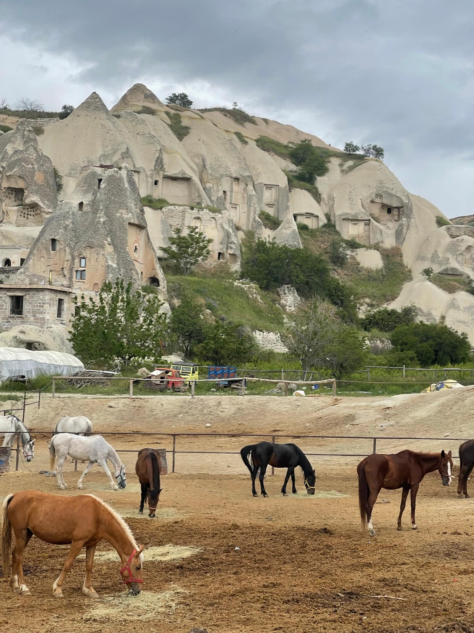 Goreme Cave house and horses