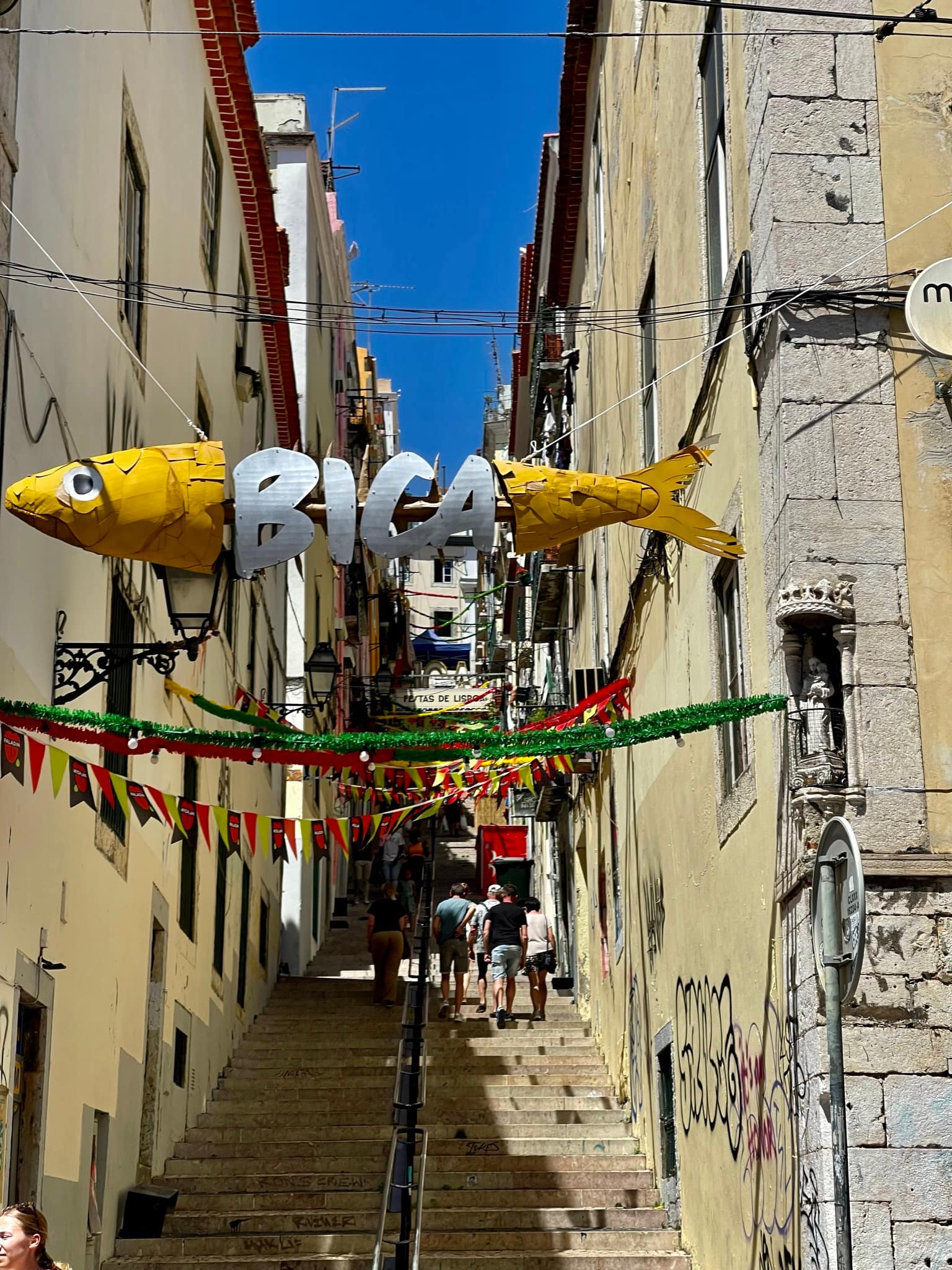 Bica Lisobn Bica Lisobn