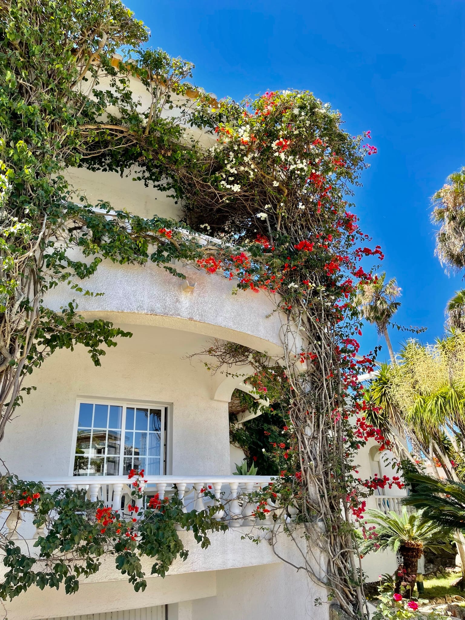 Lagos Portugal Lagos Portugal