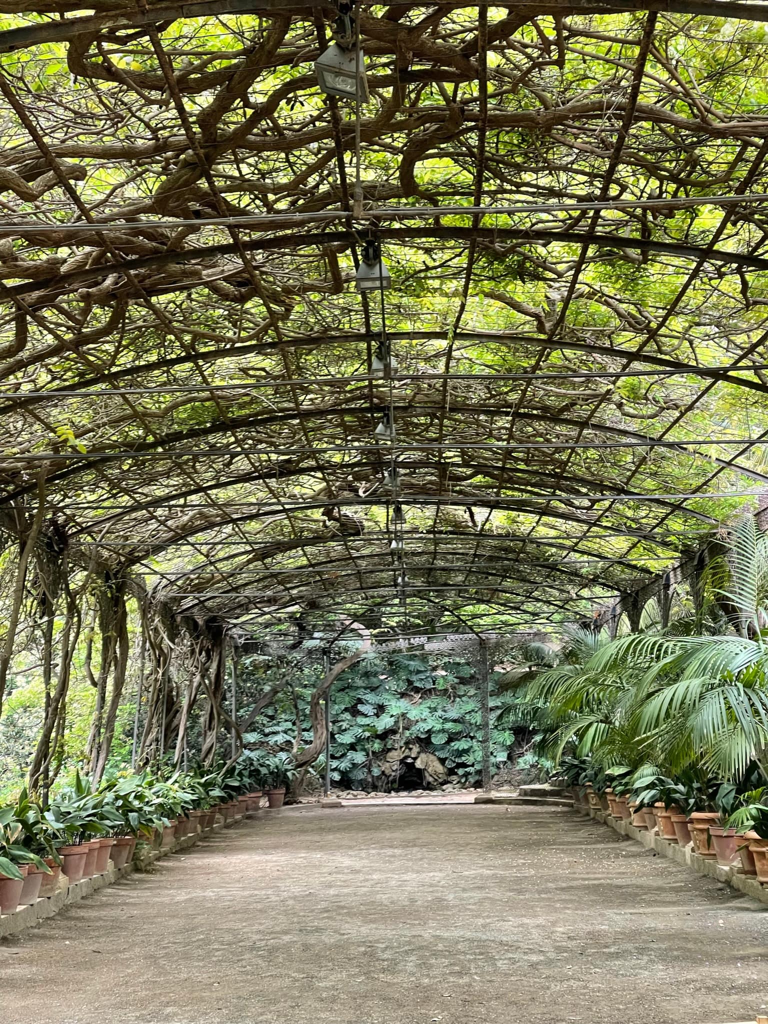 Jardín Botánico-Histórico La Concepción Jardín Botánico-Histórico La Concepción